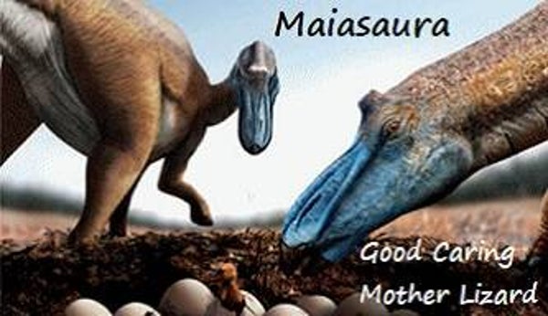 Dinosaur Magnet #360