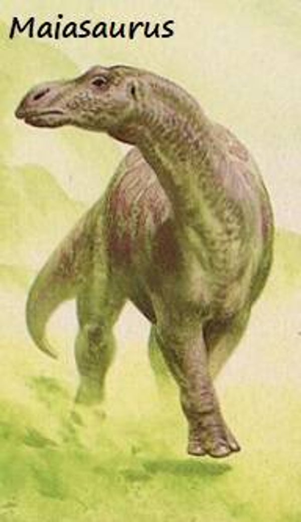 Dinosaur Magnet #361