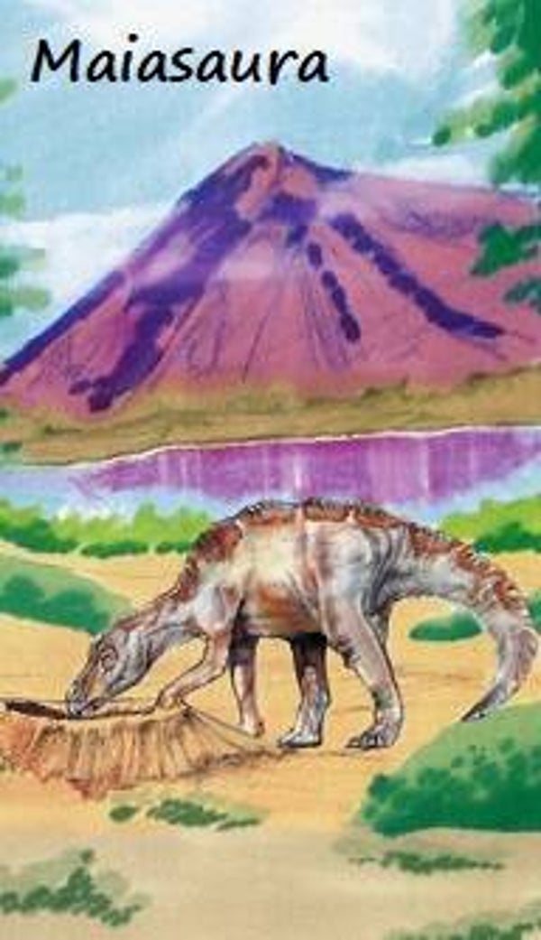 Dinosaur Magnet #363