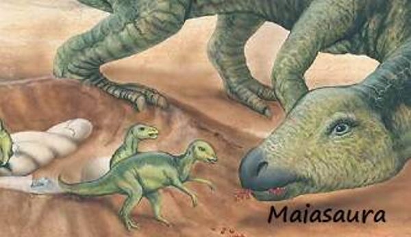 Dinosaur Magnet #366
