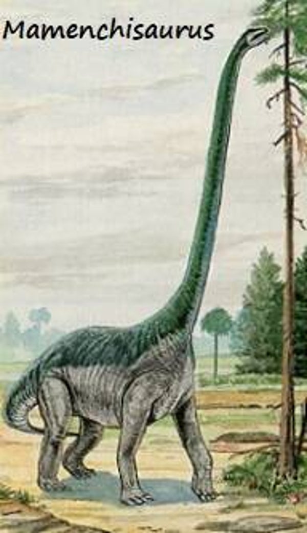 Dinosaur Magnet #368