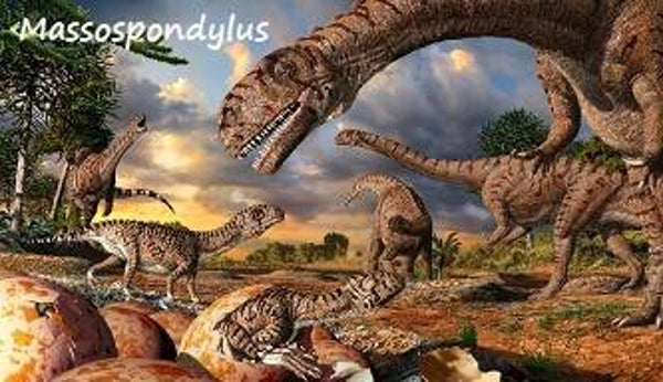 Dinosaur Magnet #374