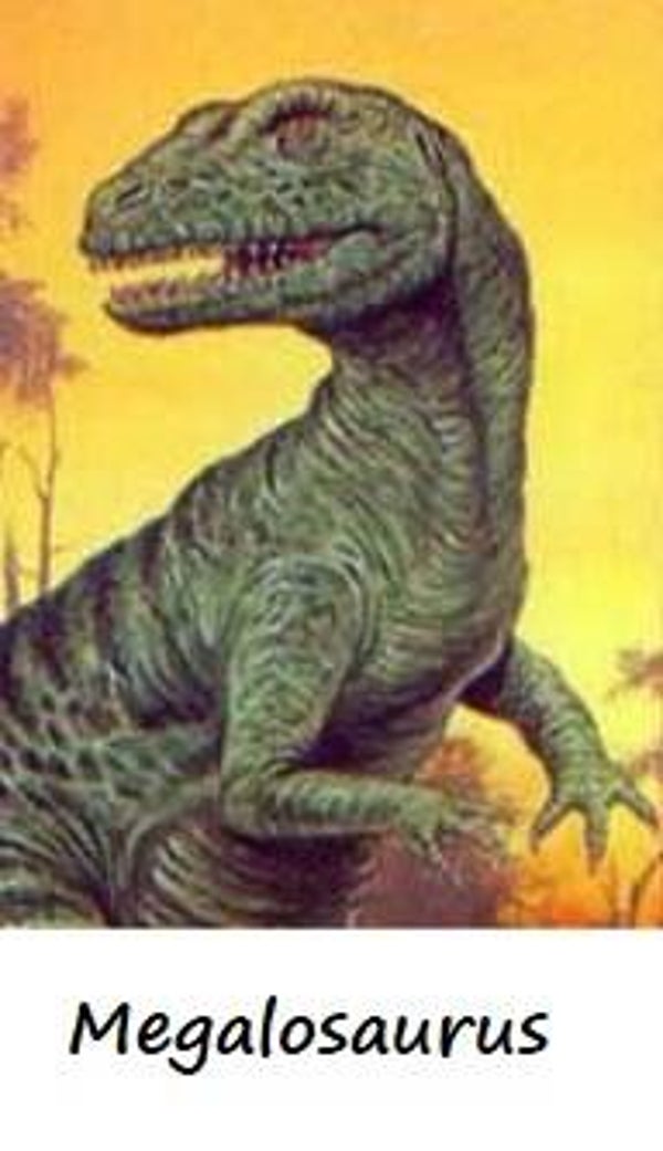 Dinosaur Magnet #377