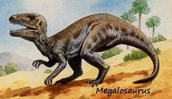 Dinosaur Magnet #379