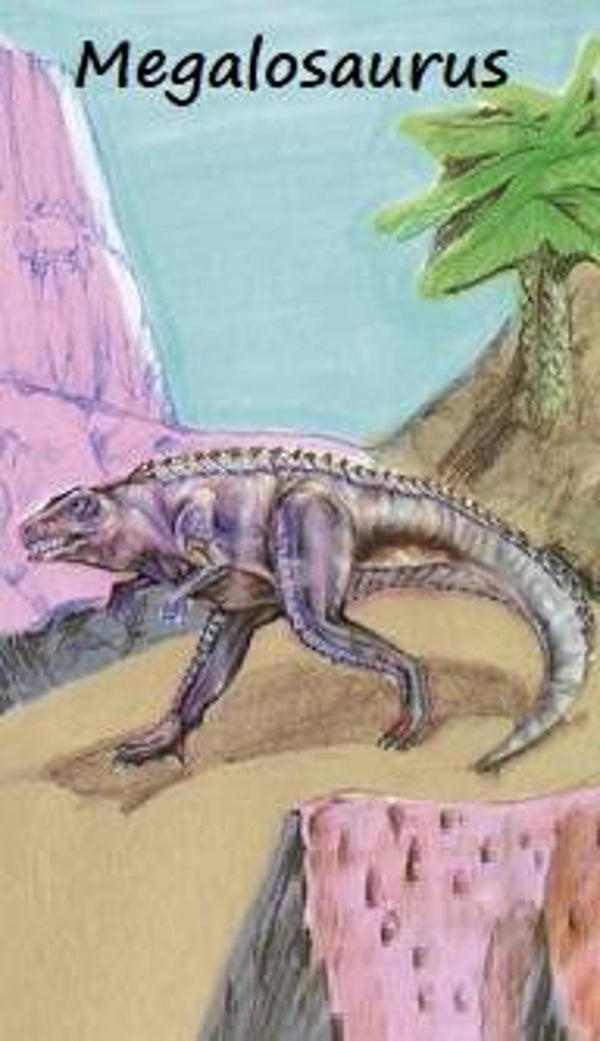 Dinosaur Magnet #384