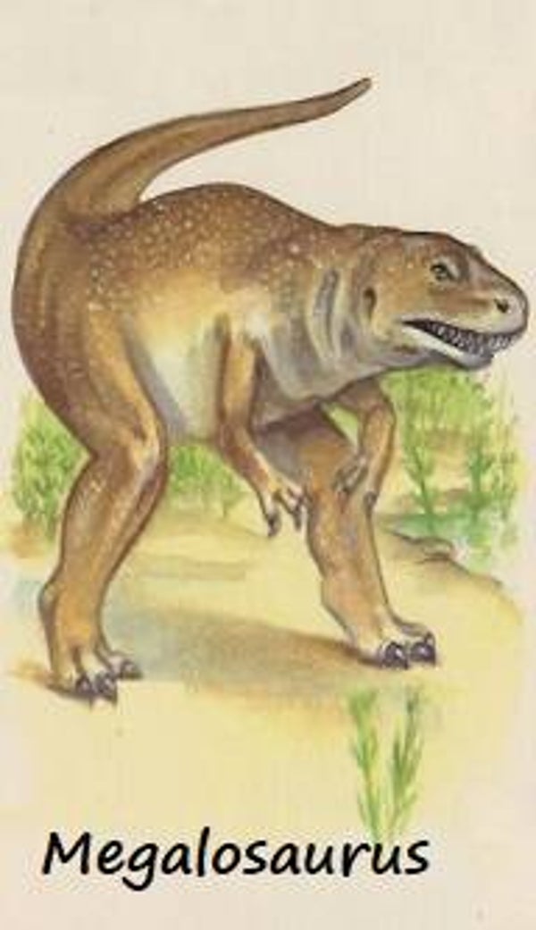 Dinosaur Magnet #385