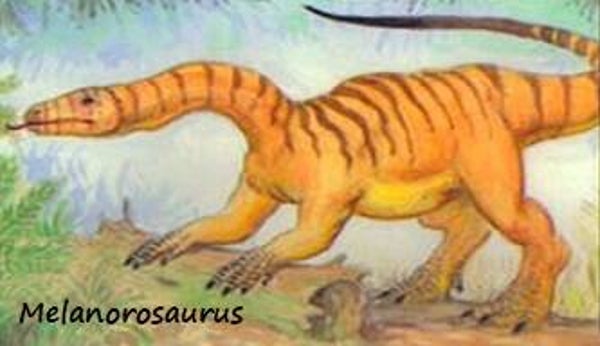 Dinosaur Magnet #386