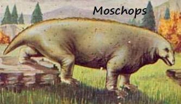 Dinosaur Magnet #393