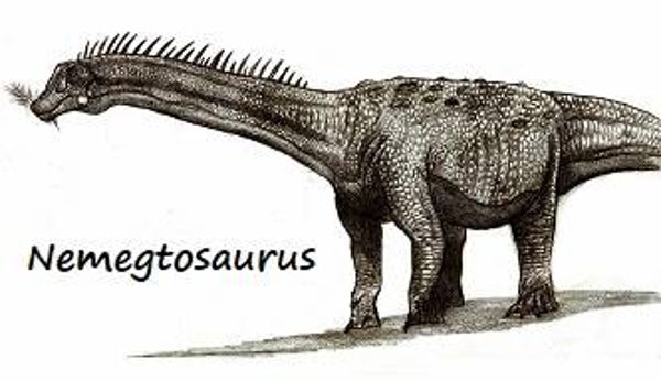 Dinosaur Magnet #399-4