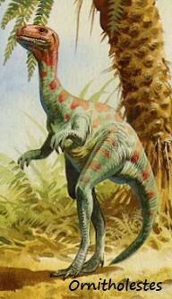 Dinosaur Magnet #404