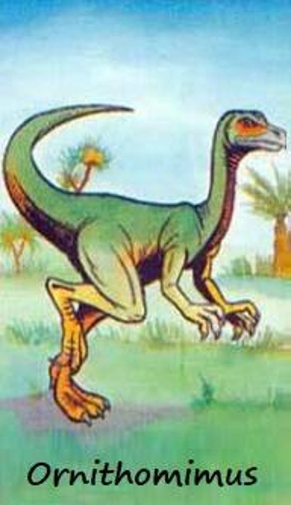 Dinosaur Magnet #406