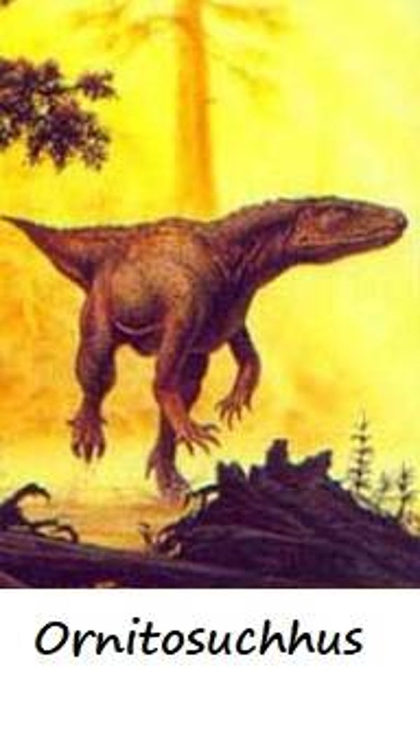 Dinosaur Magnet #408