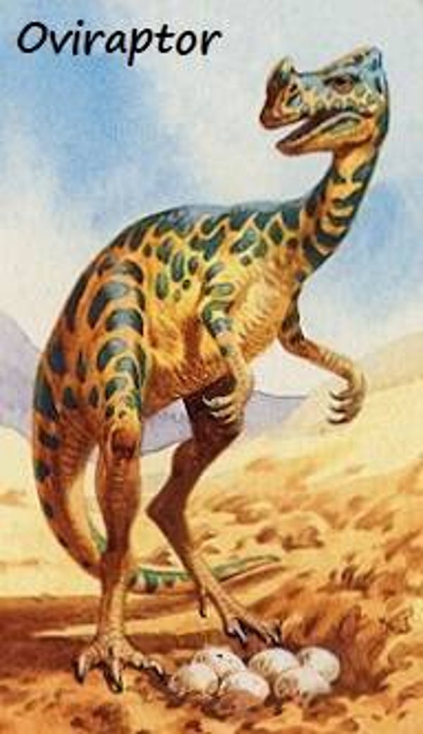 Dinosaur Magnet #413