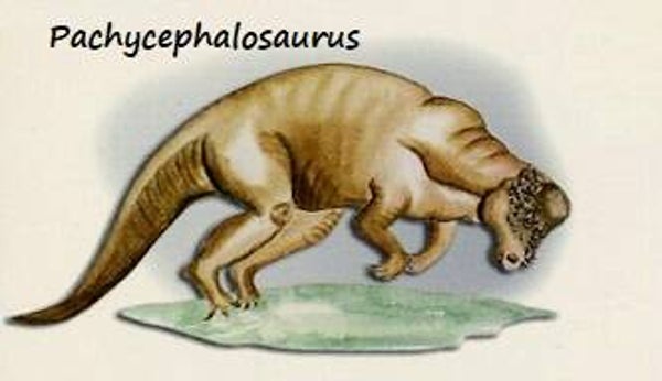 Dinosaur Magnet #418
