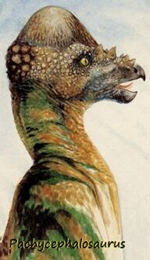 Dinosaur Magnet #420
