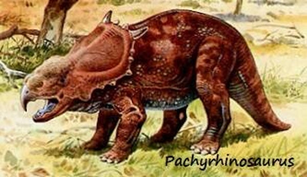 Dinosaur Magnet #422