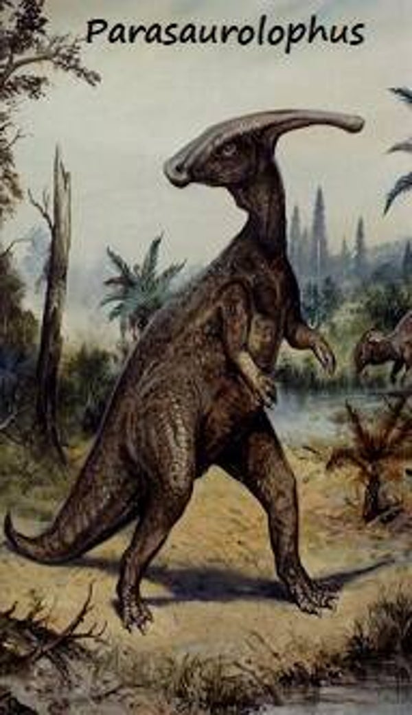 Dinosaur Magnet #435