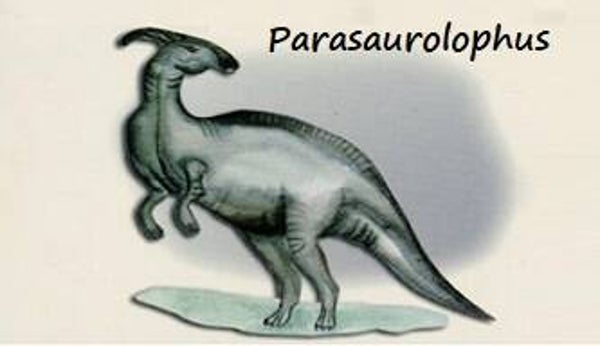 Dinosaur Magnet #436