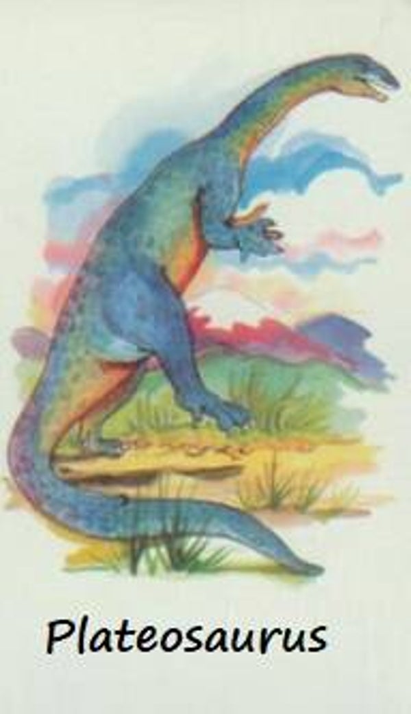 Dinosaur Magnet #447
