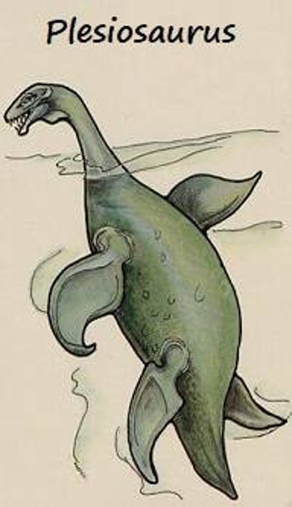 Dinosaur Magnet #460