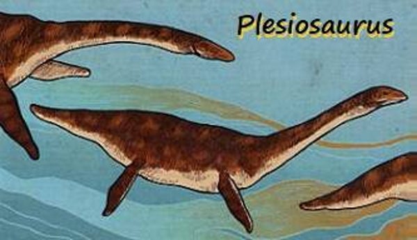 Dinosaur Magnet #462