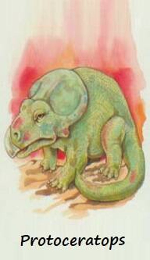 Dinosaur Magnet #475