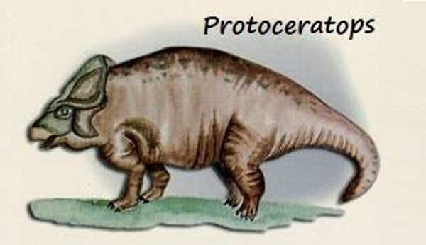 Dinosaur Magnet #477