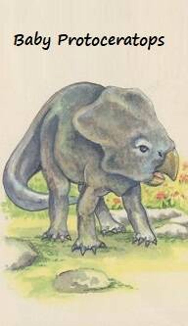 Dinosaur Magnet #479