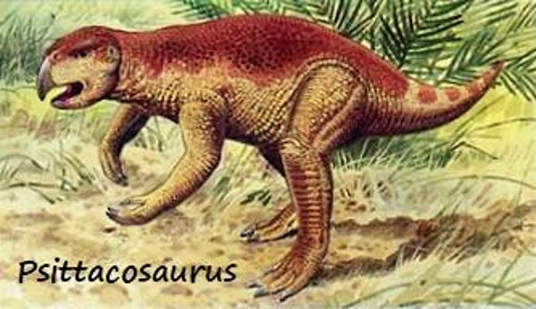 Dinosaur Magnet #480