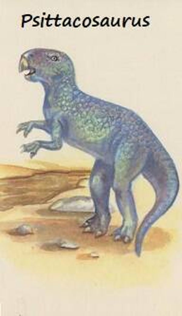 Dinosaur Magnet #483