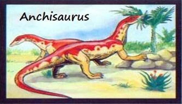 Dinosaur Magnet #53