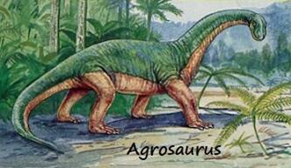 Dinosaur Magnet #7