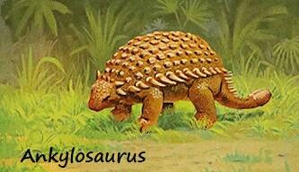 Dinosaur Magnet #70