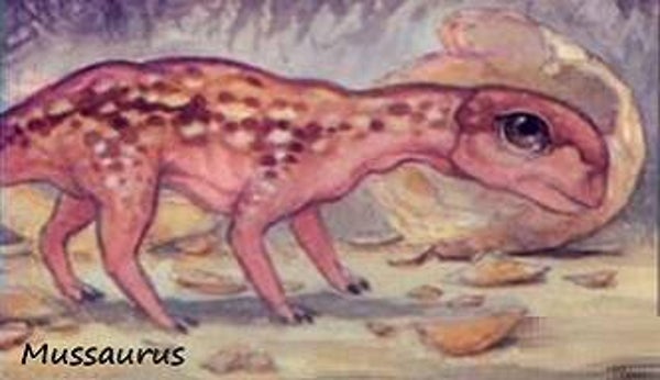 Dinosaur Magnet #M-001