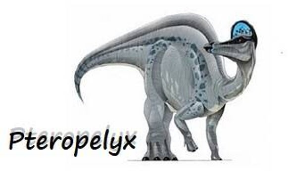 Dinosaur Magnet #P-02