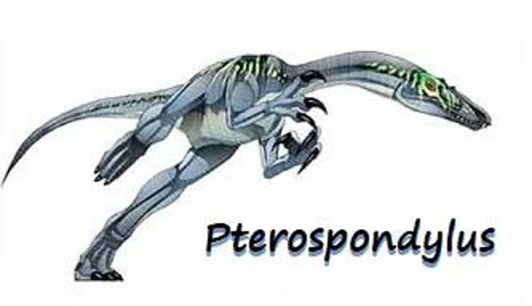 Dinosaur Magnet #P-03
