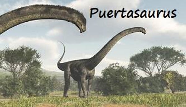 Dinosaur Magnet #P-05