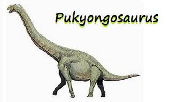 Dinosaur Magnet #P-06