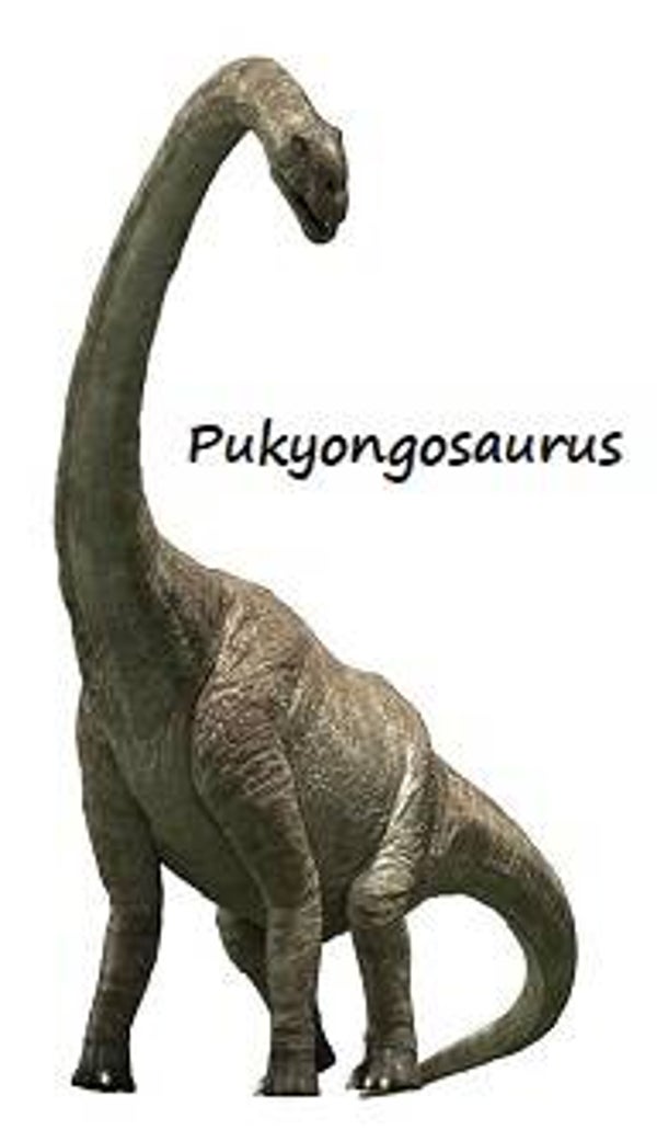 Dinosaur Magnet #P-07