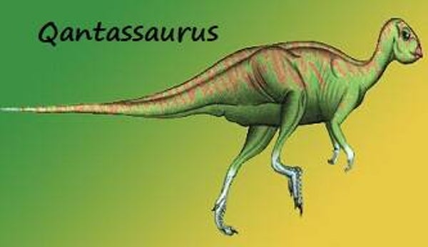 Dinosaur Magnet #Q-01