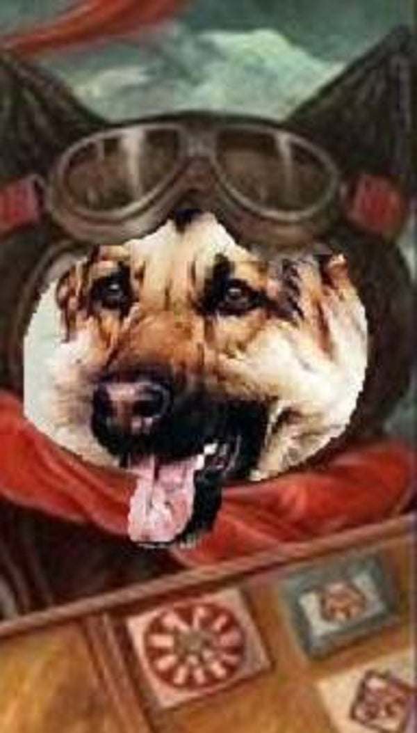 DOG MAGNETS