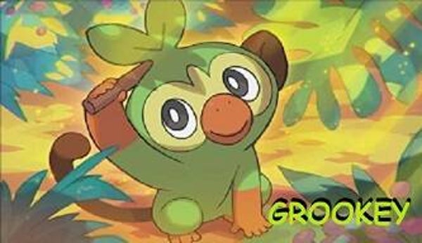 Grookey Magnet
