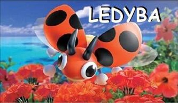 Ledyba Magnet