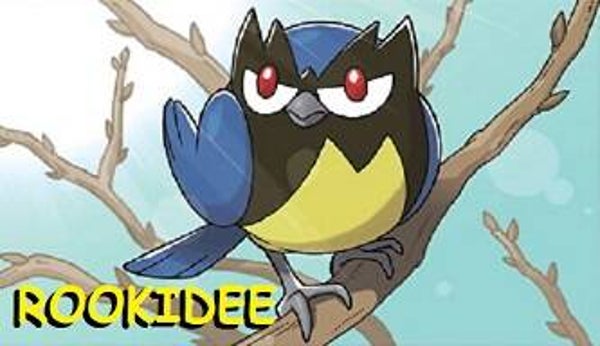 Rookidee Magnet