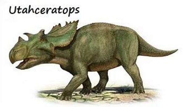 DINOSAURS STARTING WITH THE LETTER U