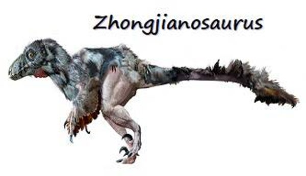 DINOSAURS STARTING WITH THE LETTER Z
