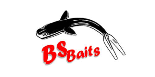 logo bs baits