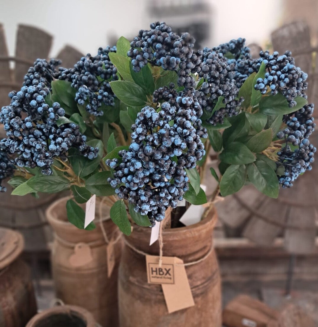 Blauwebessen takken