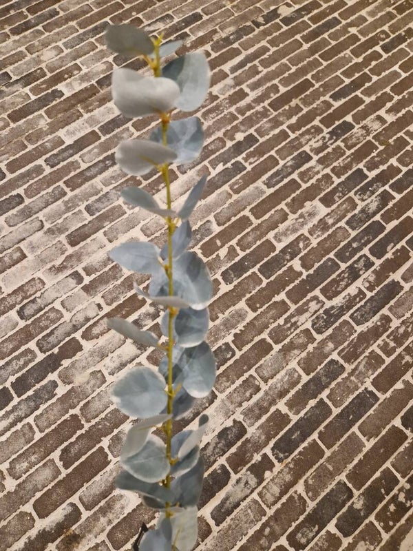 Zijdenbloem eucalyptus grijs enkel
