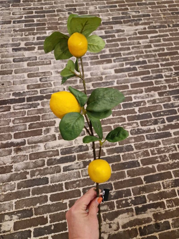 Zijdenbloem Citroentak